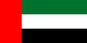 阿拉伯聯合國旗